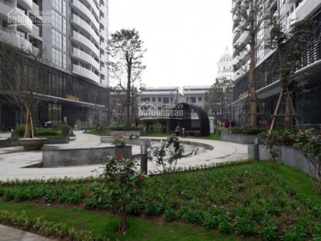 Cho thuê căn hộ chung cư cao cấp TRàng An Complex 98m2 thiết kế 3PN full nội thất giá 10.5tr/tháng