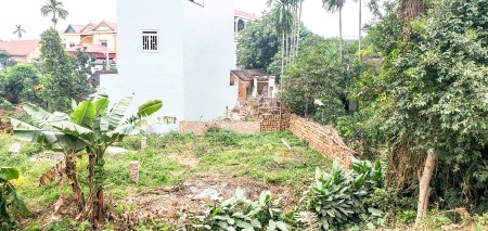 BÁN ĐẤT GIÁ CỰC RẺ TẠI THÔN NGỌC BÀI – BẤT ĐỘNG SẢN QUỐC OAI