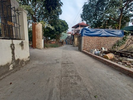 BÁN ĐẤT LƯƠNG QUY- XUÂN NỘN- ĐÔNG ANH, NGÕ Ô TÔ 4M, 113x8, PHÂN LÔ HAY XÂY BIỆT THỰ ĐỀU ĐẸP