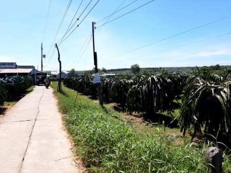 Đi đến slide 6
