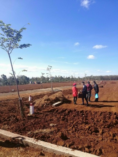 Đất giá rẻ, Chư sê, Gia lai. Dt: 300 m2 thổ cư