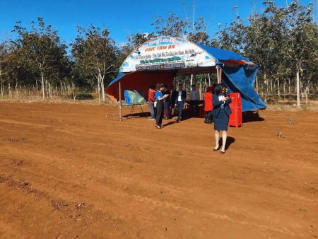 Đi đến slide 10