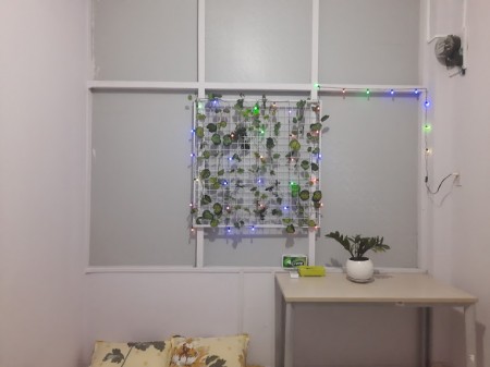 Còn 1 phòng trọ máy lạnh cho thuê hòa hưng quận 10 - Phòng Cửa sổ