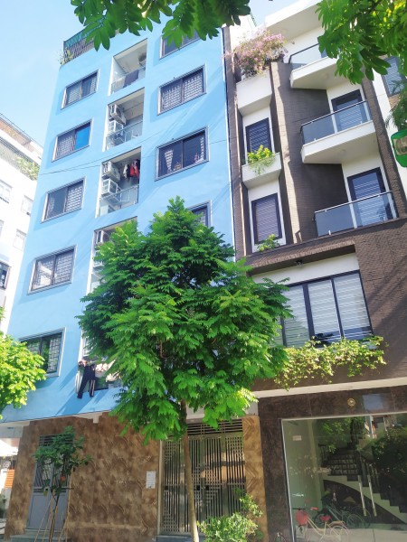 Bán Gấp Nhà CCMN Đường La Thành, 7 Tầng 100M2 MT 6M Giá chỉ 20 tỷ