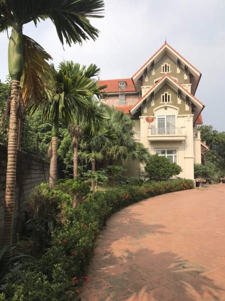 CẦN BÁN GẤP TRONG TẾT LÔ ĐẤT 1820M, GỒM 160M THỔ CƯ TẠI CỔ ĐÔNG- SƠN TÂY