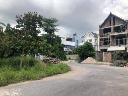 Đầu năm mua muối - cuối năm mua đất đầu tư