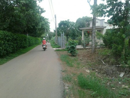 Đất mặt tiền kinh doanh doanh buôn bán, cách QL1A 500m. 280tr/ 135m2