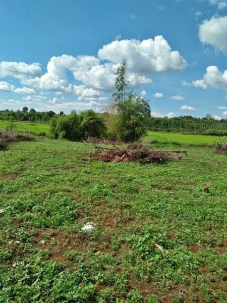 Bán Trả Nợ - MT Bến Đình, Củ Chi, 5602m2 chỉ 5 tỷ 5 có thổ cư