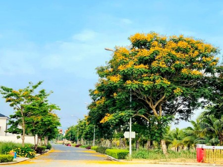 Bán đất FPT city 90m2 giá 2,x tỷ
