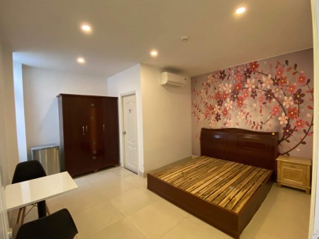 Cho thuê căn hộ TT Q.1 làm văn phòng hoặc lưu trú
