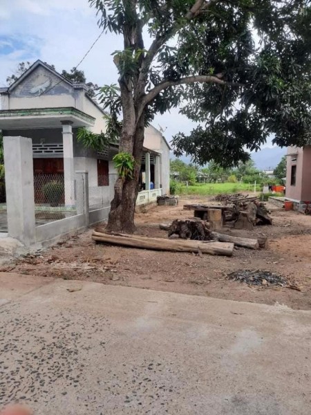 Bán Trả Nợ - Gần Nhà Thờ Phước Lâm, PHước Hưng, 249m2 chỉ 2 tỷ 5 có thổ cư