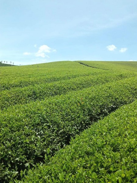 Đi đến slide 3