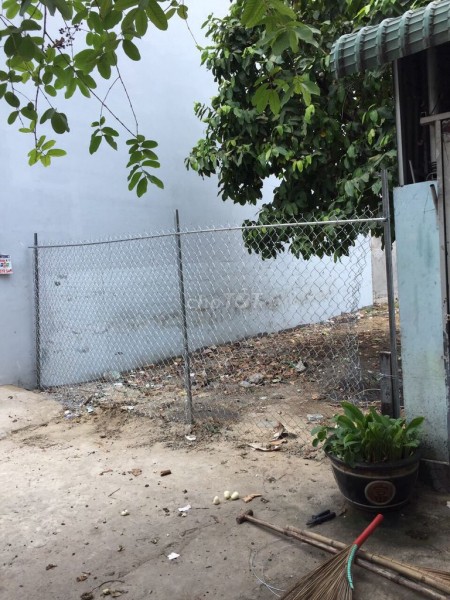 CHÍNH CHỦ CẦN BÁN LÔ ĐẤT CLN ĐƯỜNG QUỐC LỘ 13 Ở THỦ ĐỨC – HỒ CHÍ MINH