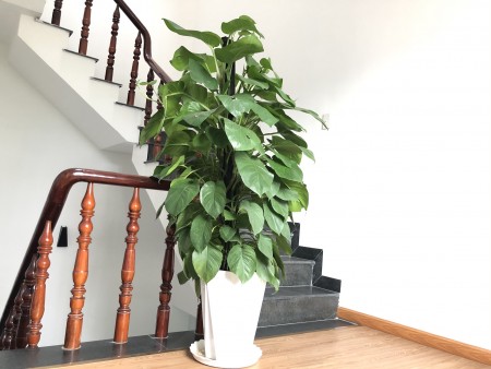 Đi đến slide 5