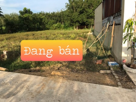Đất khu công nghiệp giá 285 triệu hết đất