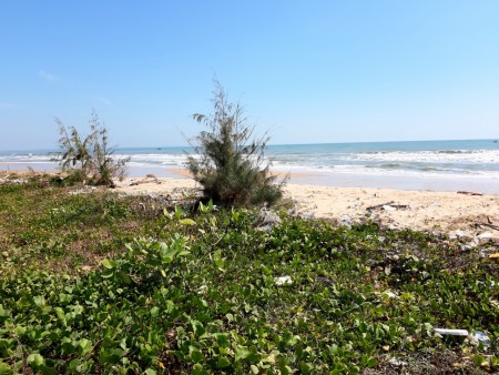 Đi đến slide 6