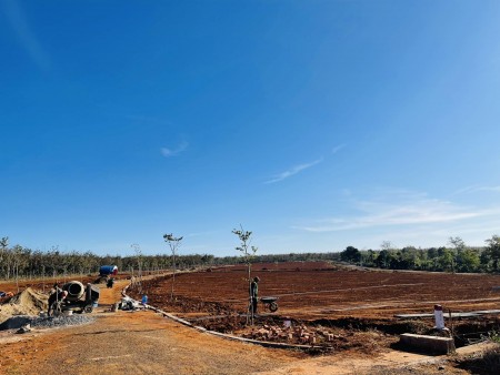 Đất nền dự án khu công nghiệp nam Pleiku giá gốc từ chủ đầu tư, chiết khấu 4 đến 6 chỉ vàng, sổ Hồng riêng – 0969.025.664