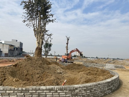 Đi đến slide 7