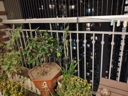 Chính chủ bán gấp căn 3 ngủ, 117m, tại Tòa A3, CC Vinhomes Gardenia, giá 4.6 tỷ bao phí