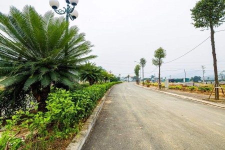Đi đến slide 6