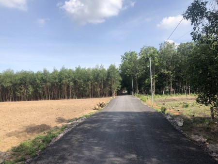 Cần bán 3000m2 đất ONT, trung tâm xã Tân Hiệp, Long Thành chỉ 3.2 triệu/m2.