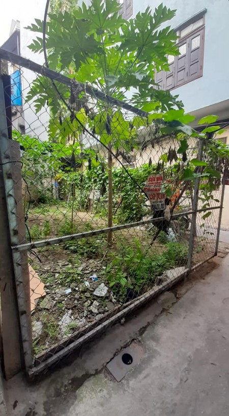 Bán Cắt Lỗ Lô Đất Xây Nhà Đầu Tư Đội Cấn Ba Đình 42m2 Mặt Tiền 4,8M Lô Góc Chỉ 2,86 Tỷ