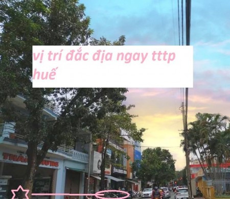 Kẹt Tiền Bán Gấp Mặt Tiền Đinh Tiên Hoàng Ngay Ngã Tư Giao Với Nhật Lệ, Giá Sập Sàn