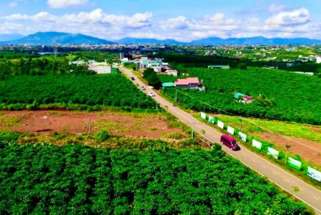 Đất mặt tiền phân lô vị trí đắc địa Tp Bảo Lộc.