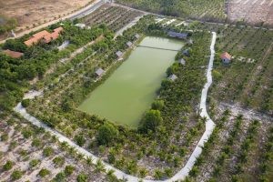 Bán 17,409m2 đất nông nghiệp hồng thái mặt tiền liên huyện gần kdl bàu trắng chỉ 130k/m2 Lh 0938677909 Hiền