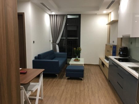 NHÀ TÔI CHO THUÊ CĂN HỘ 2 PHÒNG NGỦ CAO CẤP ĐỦ ĐỒ TẠI VINHOMES GREENBAY MỄ TRÌ