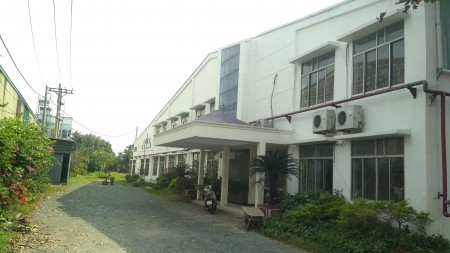Đi đến slide 11