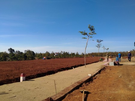 Đi đến slide 12