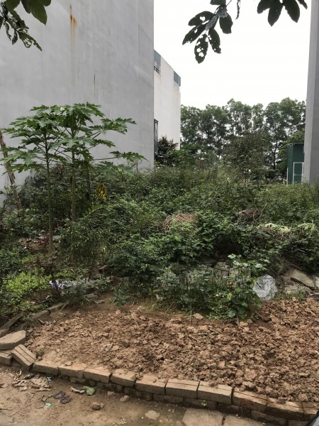 Bán đất Mỗ Lao 33m2 mặt tiền 5m giá 2580 triệu
