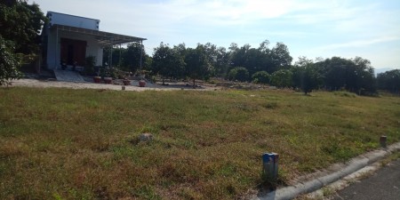 Đi đến slide 8