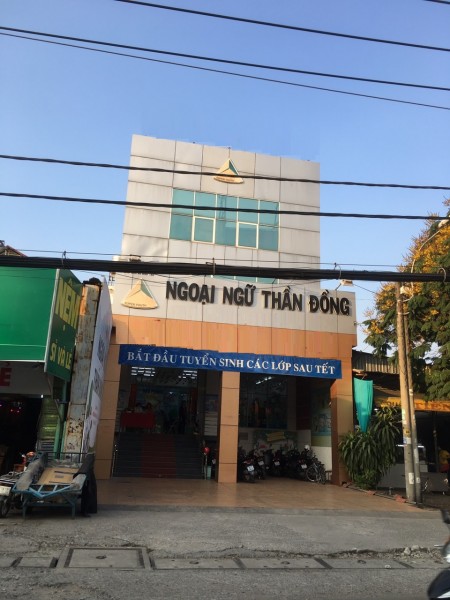Hòa Bình, Phường Hiệp Tân, TP dt 8 x 20 đoạn sầm uất, gần ngã 4