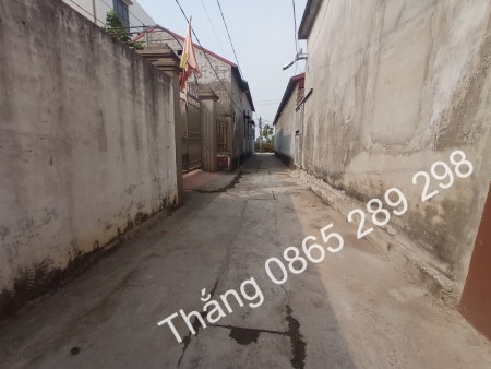Bán đất ngay chân Cầu Đông Trù Đông Anh, Ngõ ô tô, 63x4 vuông vức chỉ 39 triệu/m2