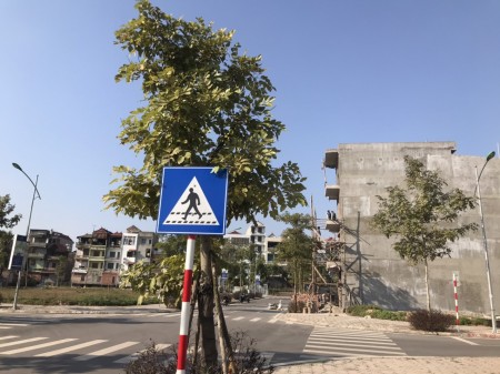 Đi đến slide 5