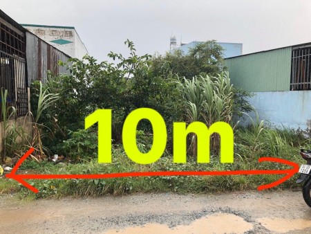 Tin được không! 848m² đất Bình Chánh giá chỉ 6.8 tỷ