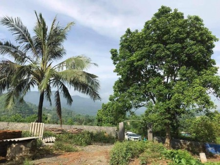 CHỦ GỬI BÁN NHANH LÔ ĐẤT ĐẸP GIÁ QUÁ RẺ TẠI LƯƠNG SƠN HÒA BÌNH