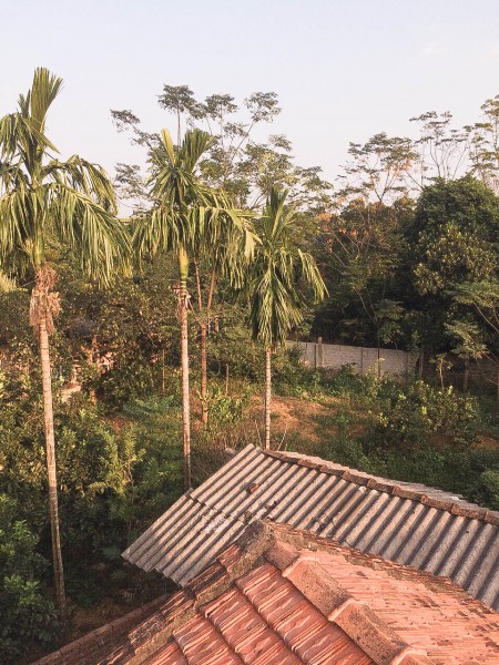 Đi đến slide 7