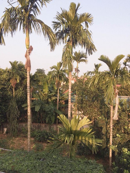 Đi đến slide 15