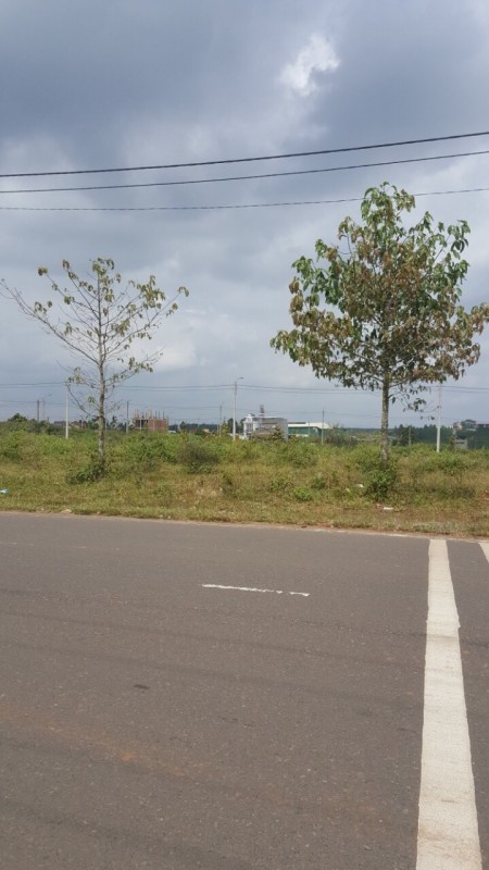 Nam Phương City - khu đất Vàng trung tâm Bảo Lộc