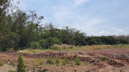 Đi đến slide 8