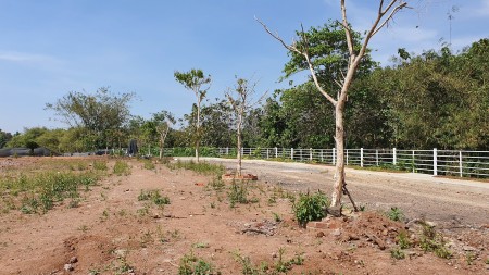 Đi đến slide 7