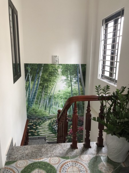 Bán nhà 2 tầng Trương Mỹ, TP Hải Dương, 73.4m2, mt 5.15m, 2.9 tỷ, ngõ 5m
