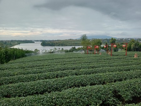 Đi đến slide 2