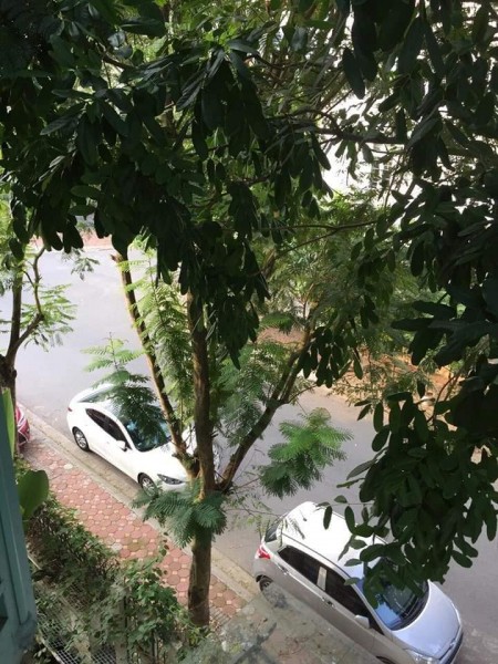 Đi đến slide 4