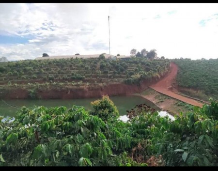 Cần bán Đất Đà Lạt Mình dự định làm Farm nhưng không đủ tiền cần nhượng lại lô đất cho AE muốn làm Farm hoặc làm du lịch.