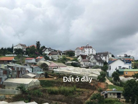 Cần bán Đất Đà lạt diện tích rộng rãi oto vô được Thích hợp làm khu nghĩ dưỡng đầu tư sinh lời