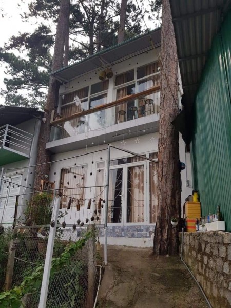 Nhà Đất Đà lạt cần bán nhà vó view rừng thông cực đẹp thích hợp làm homestay, nghĩ dưỡng hoặc dầu tư sinh lời